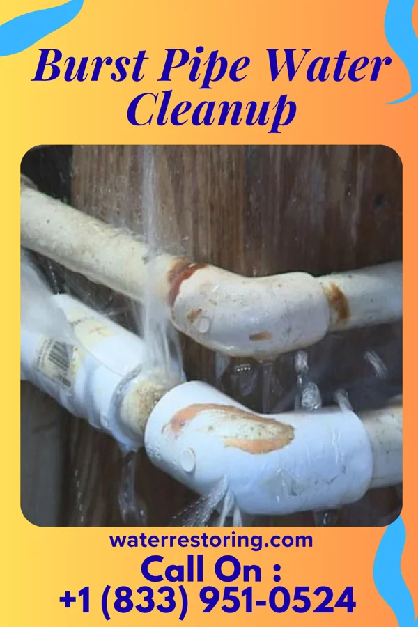 Burst Pipe Water Cleanup in Daingerfield, TX