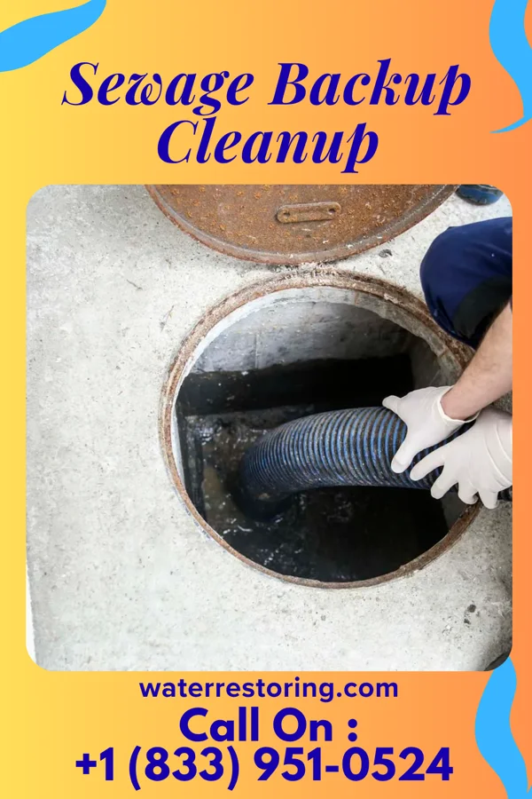 Sewage Backup Cleanup in Daingerfield, TX