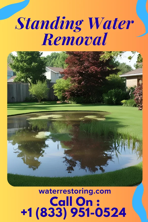 Standing Water Removal in Daingerfield, TX